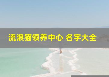 流浪猫领养中心 名字大全